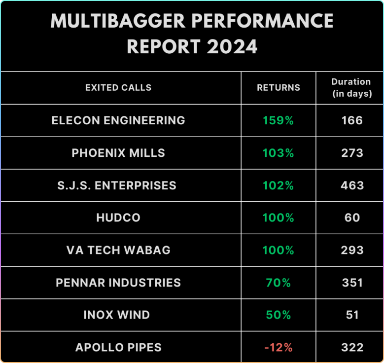 Multibagger Performance